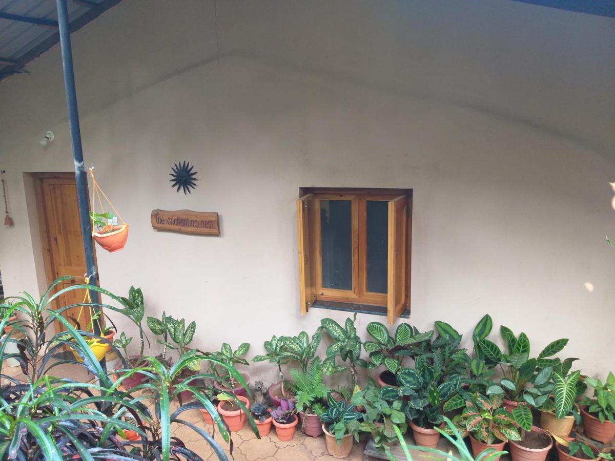 The Enchanting Nest Borim 外观 照片