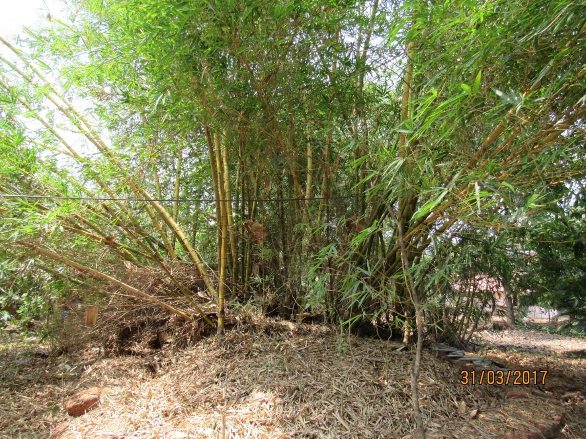 The Enchanting Nest Borim 外观 照片
